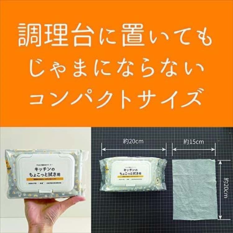 服部製紙 アルカリ電解水クリーナー ちょこっと拭き キッチン用 NTA-2