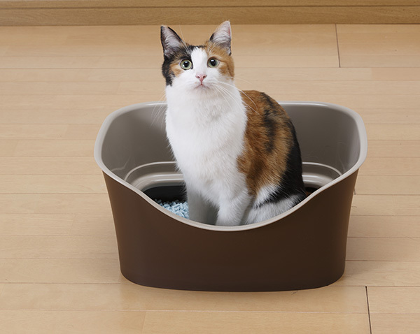ラクラク猫トイレ ダブルブロック ブラウン ( 1セット ) : 爽快