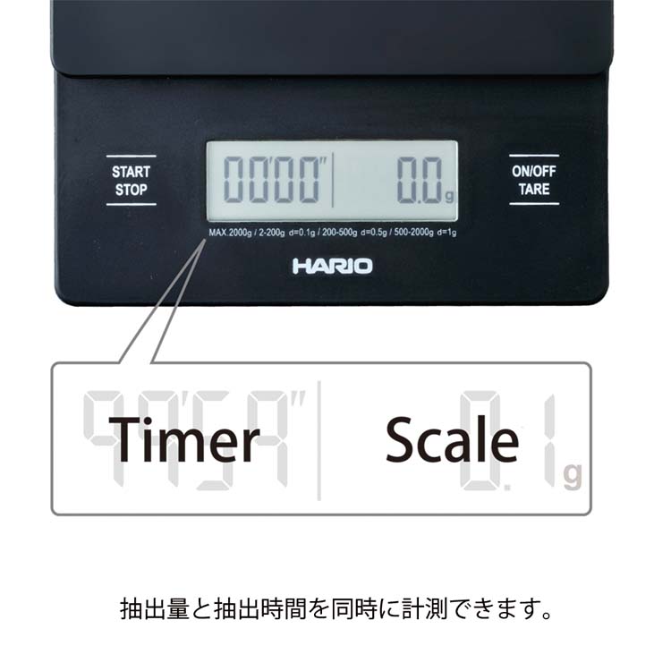 ハリオv60スケール　tarptotarp Wood Reminder / PROLOG x TARPtoTARP Wネームモデル