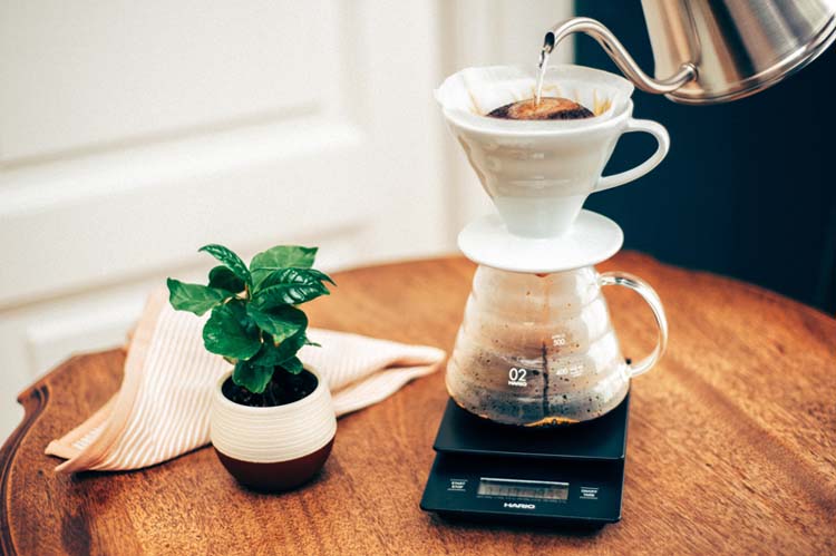 VDCR-02-W V60透過ドリッパー02セラミックW ( 1個 )/ ハリオ