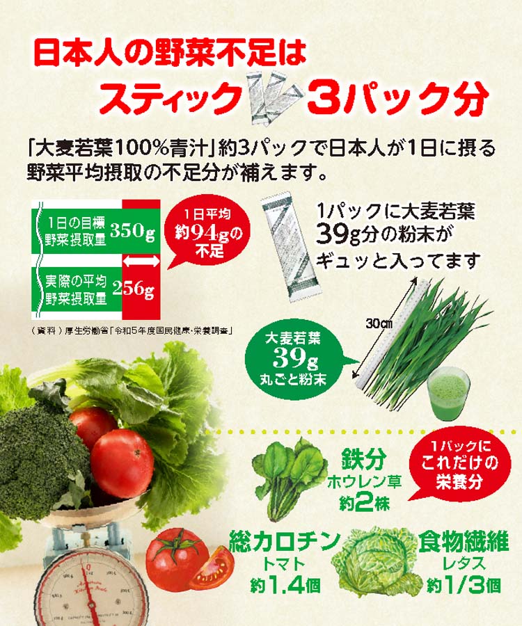 大麦若葉粉末100% スティックタイプ 大容量 ( 3g*88パック )/ 山本漢方