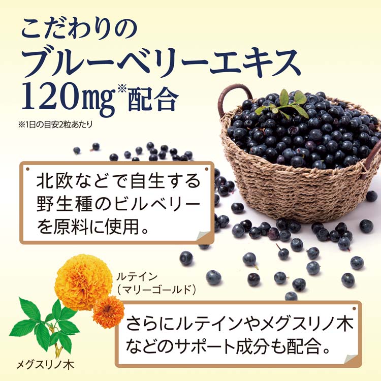 ブルーベリー ルテイン メグスリノ木 約30日分 ( 60粒入り ブルーベリー ルテイン メグスリノ木 約30日分 ( 60粒入り