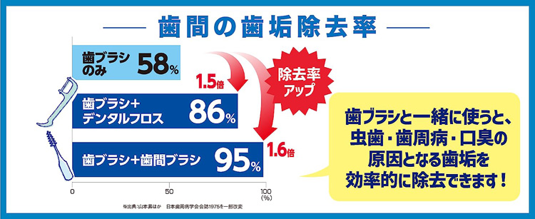 小林製薬の糸ようじ デンタルフロス ( 60本入 )/ 糸ようじ