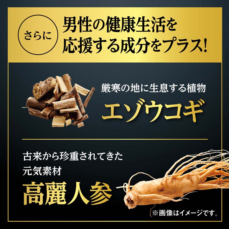 マカEX 約30日分 エネルギッシュな生活を送りたい男性に ( 60粒入り