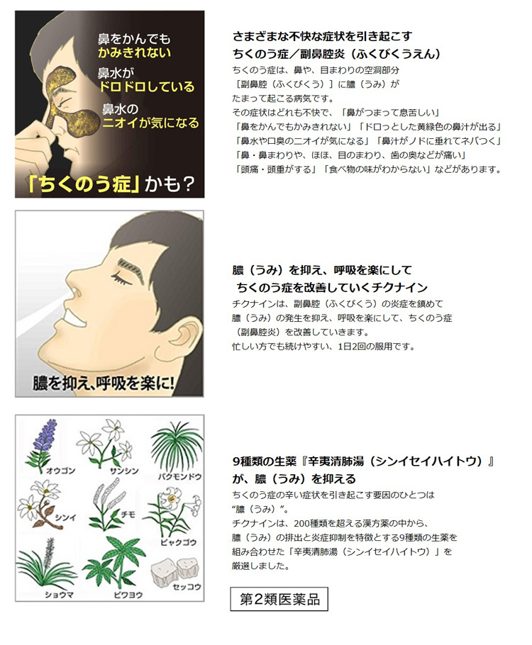 第2類医薬品)チクナインb ( 112錠 )/ チクナイン ( 蓄膿症 副鼻腔炎