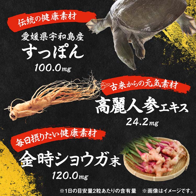 すっぽん高麗人参 約30日分 いつまでもエネルギッシュな毎日を送りたい