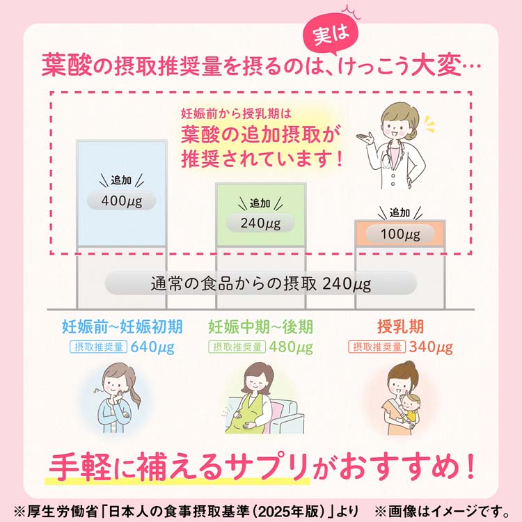 葉酸鉄カルシウム 約30日分 ( 90粒入り )/ 小林製薬の栄養補助