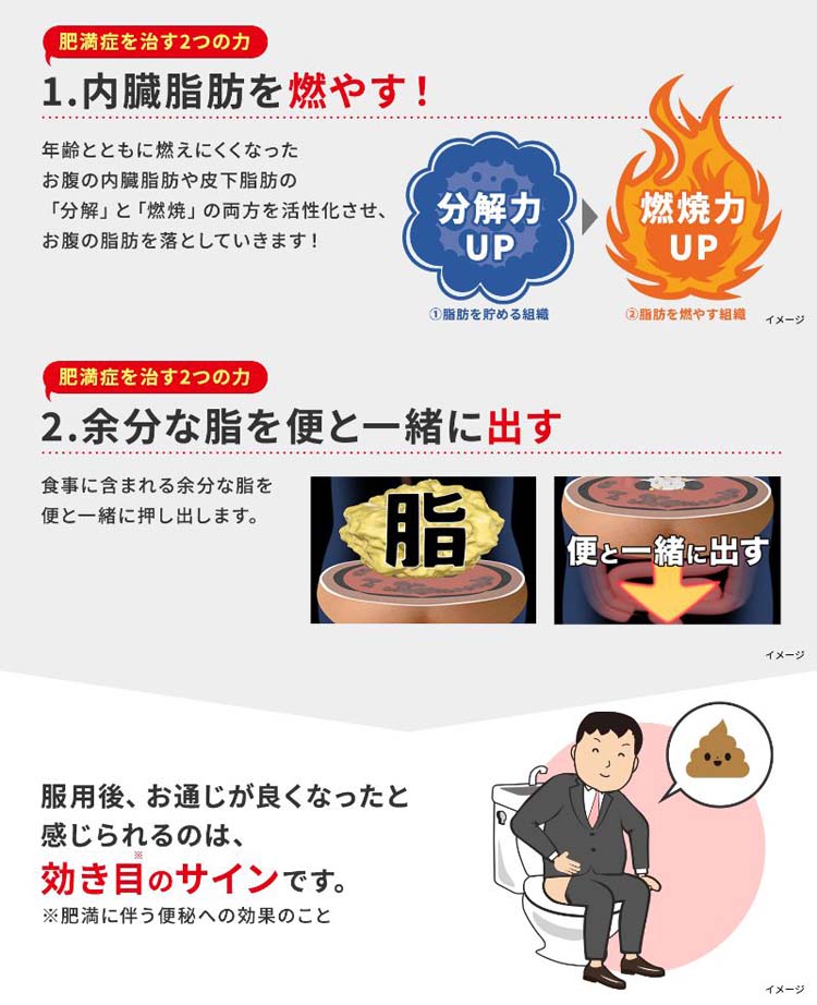 がちなもの 第２類医薬品 315粒 : ドラッグストア ナイシトールZa セッコウ - leandroteles.com.br