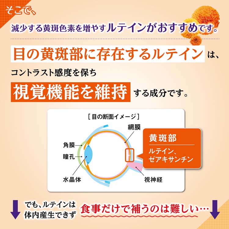 ルテイン 約60日分 ぼやけ・かすみ対策 ( 60粒入り )/ 小林製薬の機能