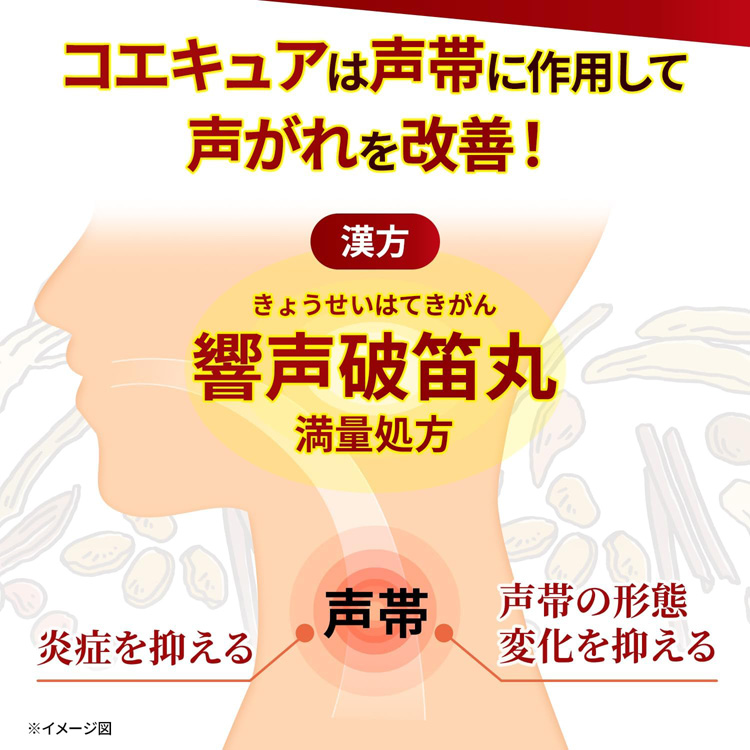 z4987072057582-5.jpg