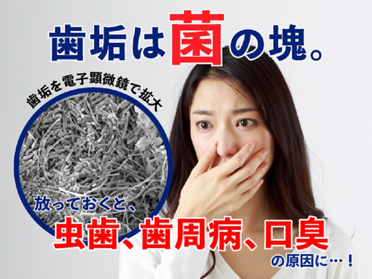 やわらか歯間ブラシ L字カーブ 極細タイプ SSS〜S 歯ぐきに やわらか歯間ブラシ L字カーブ 極細タイプ SSS〜S 歯ぐきに