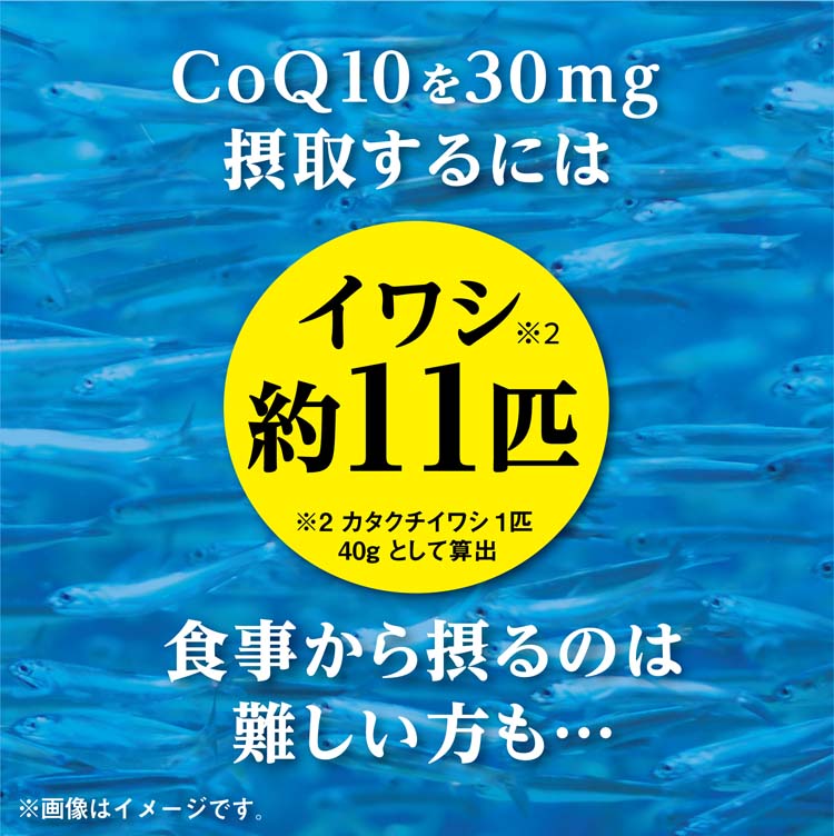 コエンザイムQ10 α-リポ酸L-カルニチン 約30日分 ( 60粒入 )/ 小林製薬