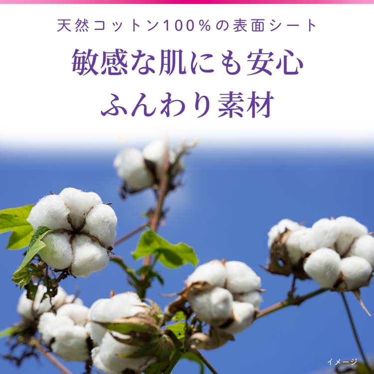 サラサーティコットン100 Tバックショーツ用Tライナー 無香料 おりものシート ( 40個入 )/ サラサーティ