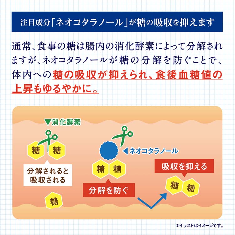 サラシア100 約40日分 食後の血糖値の上昇をゆるやかに ( 120粒