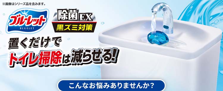 液体ブルーレット おくだけ除菌EX 黒ズミ対策 本体 スーパーミントの
