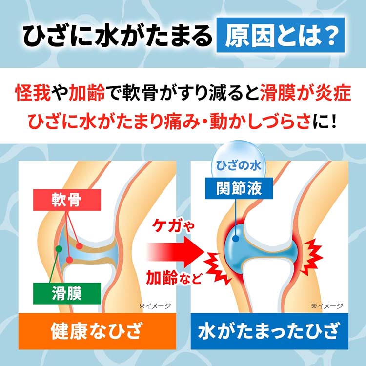 第2類医薬品)ミズナイン ( 60錠(セルフメディケーション税制対象