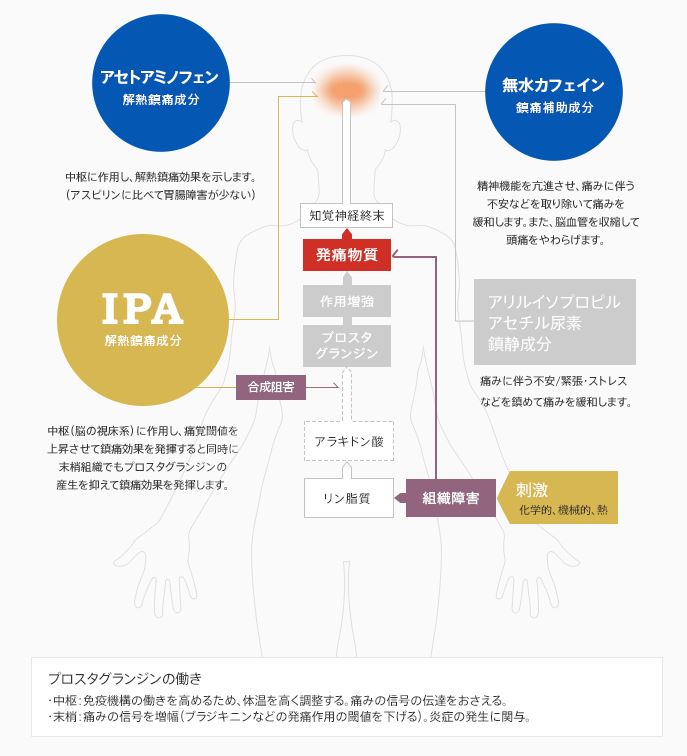 第(2)類医薬品)セデス・ハイG(セルフメディケーション税制対象) ( 12包 )/ セデス :4987087041668:爽快ドラッグ - 通販 -  Yahoo!ショッピング