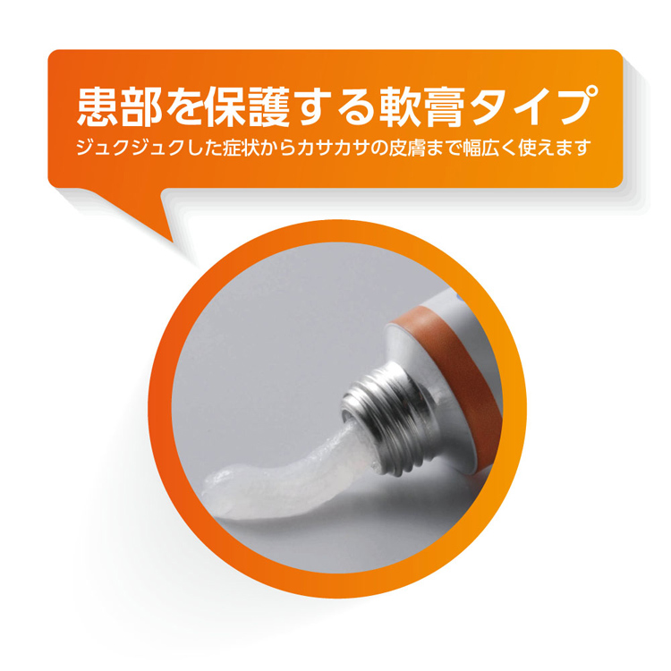 第(2)類医薬品)オイラックス DX軟膏 ( 16g )/ オイラックス