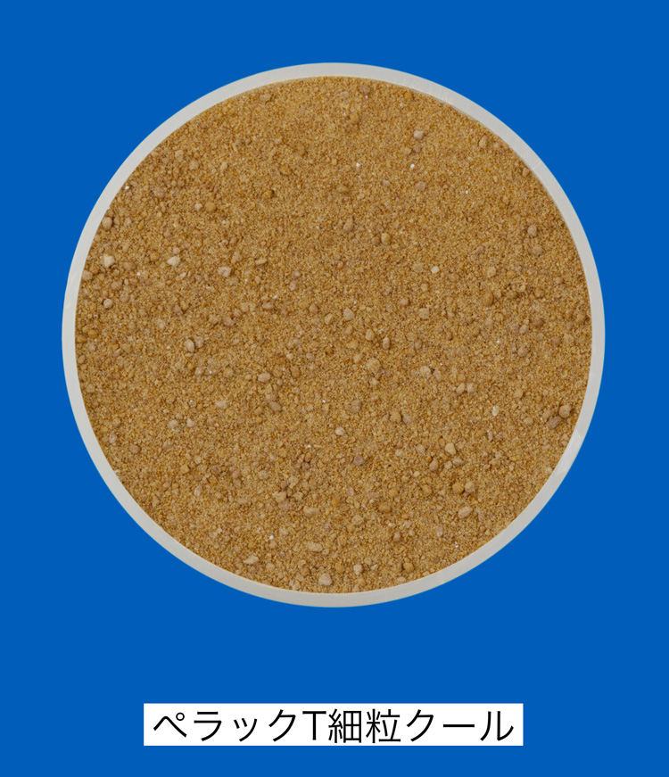 第3類医薬品)ぺラックT細粒クール ( 10包入 )/ ペラック 咽頭炎 扁桃炎