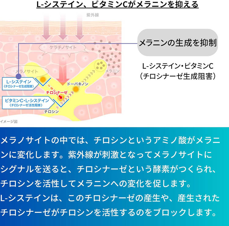 第3類医薬品)トランシーノ ホワイトCプレミアム ( 270錠