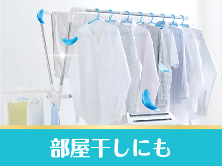 ボールド 柔軟剤入り 洗濯洗剤 液体 爽やかおひさまとフレッシュサボン