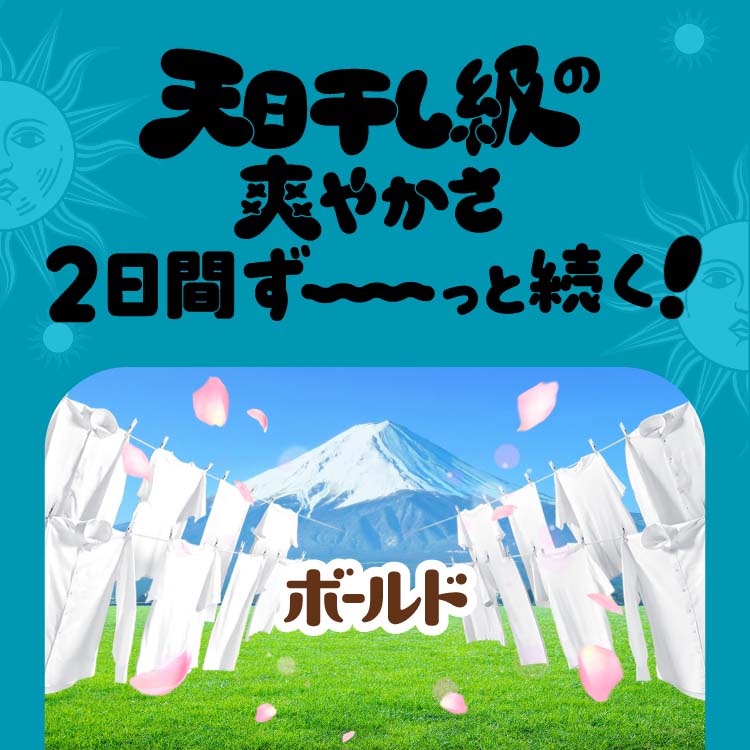 ボールド 柔軟剤入り 洗濯洗剤 液体 爽やかおひさまとフレッシュサボン