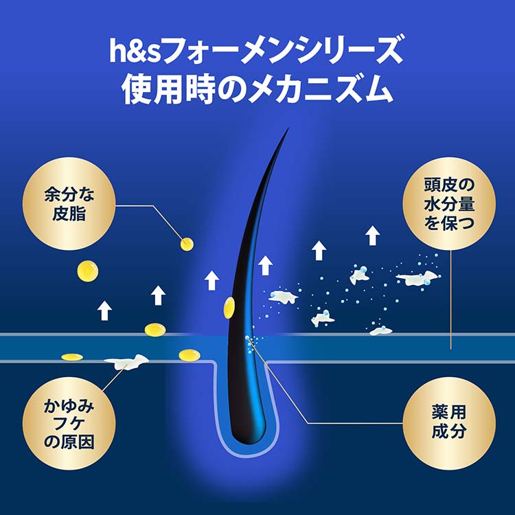 h&s×Old Spis シャンプー オールドスパイス 本体&詰替×10 h&s for men ゴールド 2in1 オールドスパイス ピュアスポーツの香り