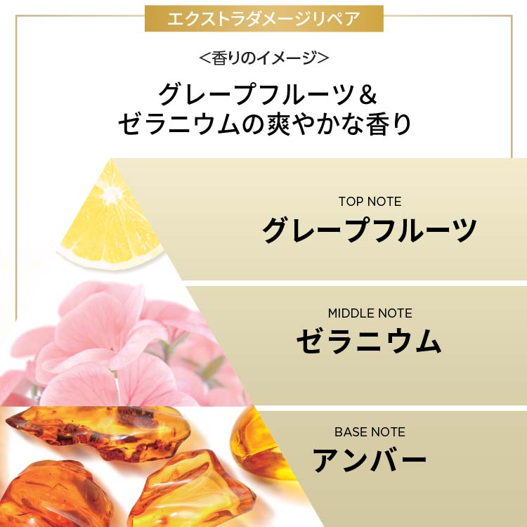 パンテーン エクストラダメージリペア シャンプー・コンディショナー