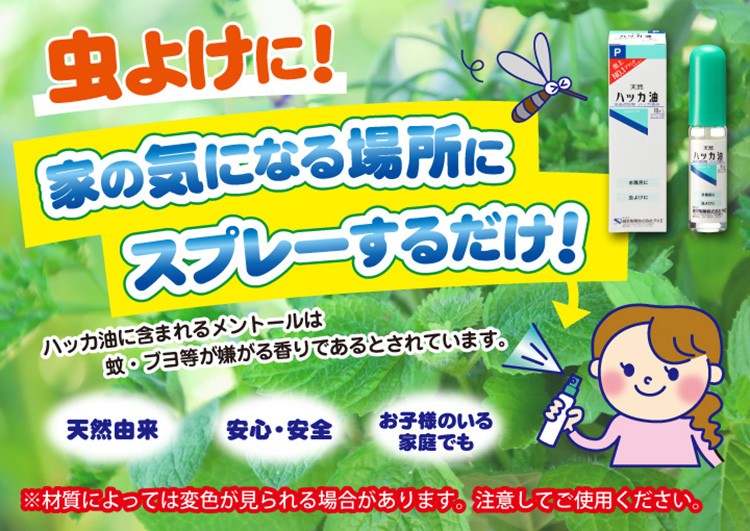ハッカ油スプレー ( 10ml )/ ケンエー : 爽快ドラッグ - 通販