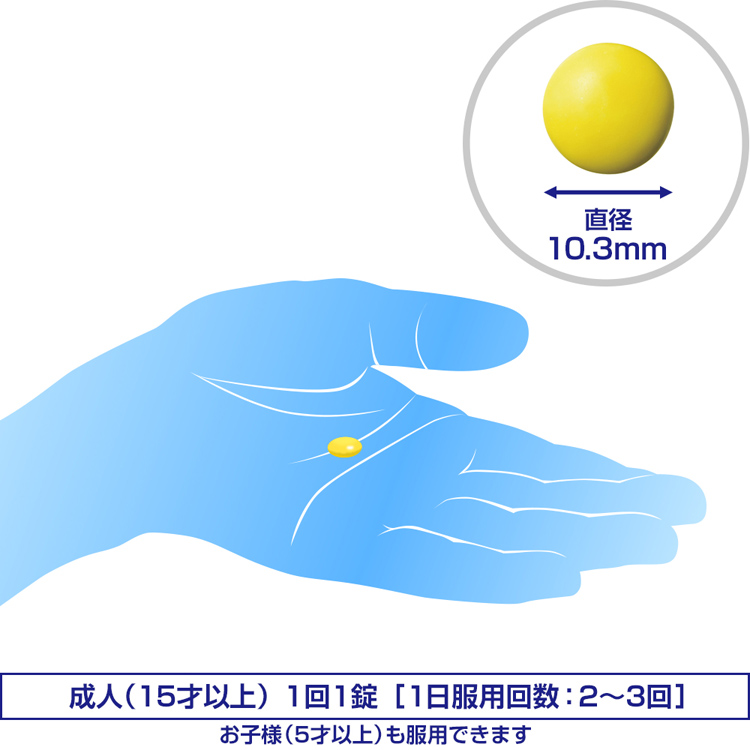 第3類医薬品)エスファイト ゴールド ( 240錠 )/ エスファイト
