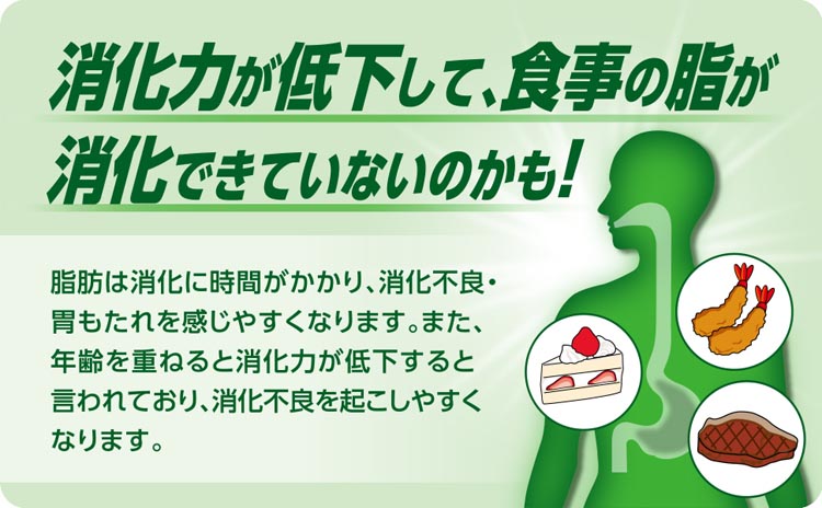 大正製薬　大正胃腸薬　バランサー 1.2g×12包　600　