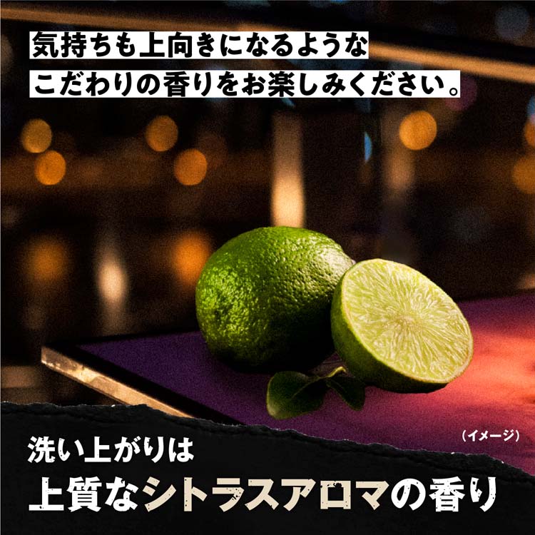 ブラックウルフ ボリュームアップ スカルプ シャンプー ( 380ml