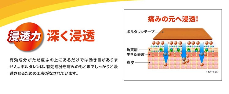 第2類医薬品)ボルタレンEXテープ 7枚 (セルフメディケーション税制対象