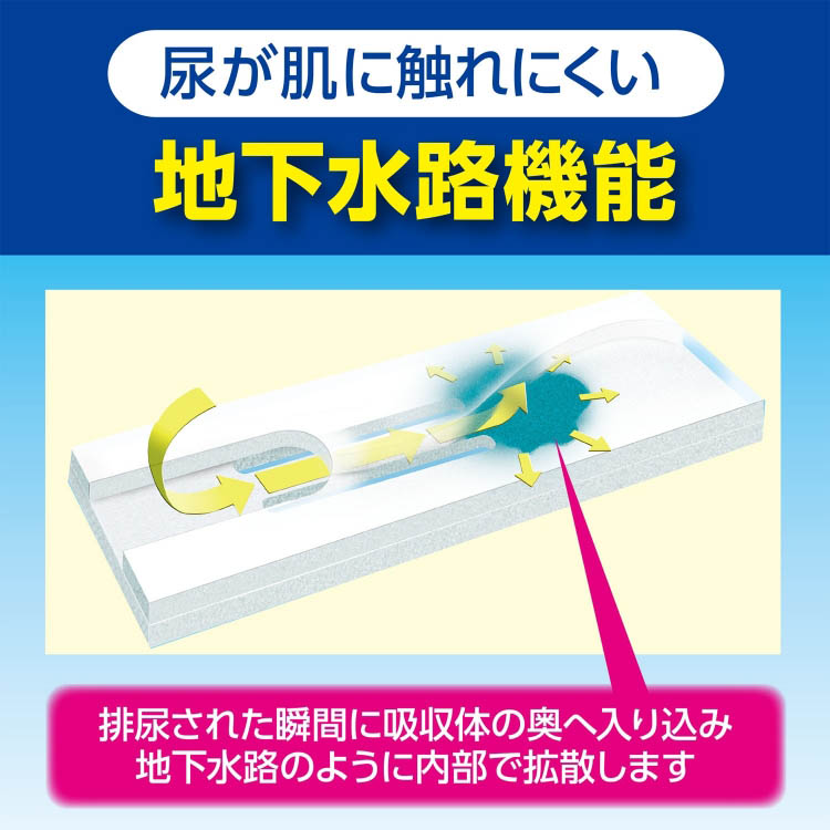 くらしリズム ライフラッグ 尿とりパッド 男女共用 60枚　×4個 ● : 杏林堂ヤフー店 - 通販 - Yahoo!ショッピング