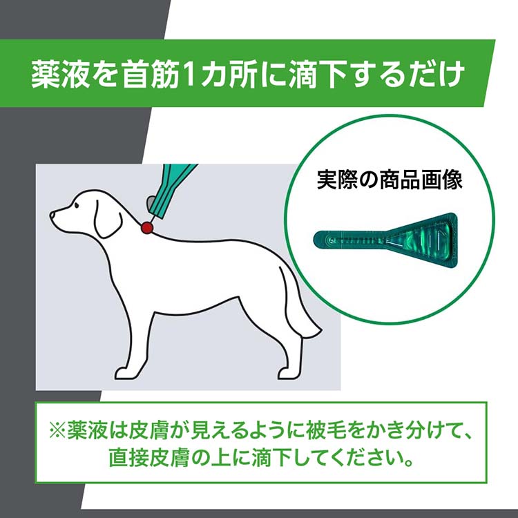 動物用医薬品】フロントラインプラス 犬用 XS 5kg未満 ( 6本入