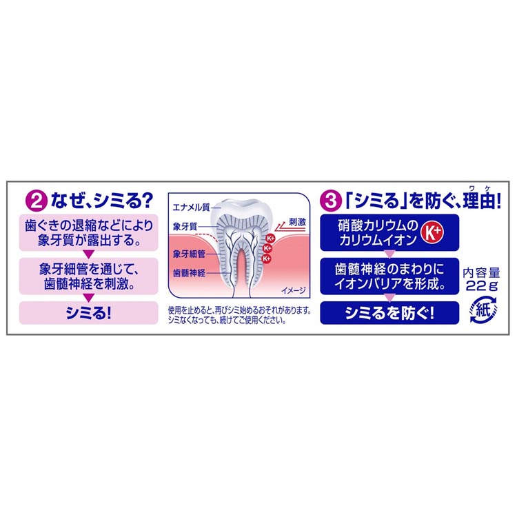 シュミテクト 歯周病ケア ( 22g )/ : 爽快ドラッグ - 通販