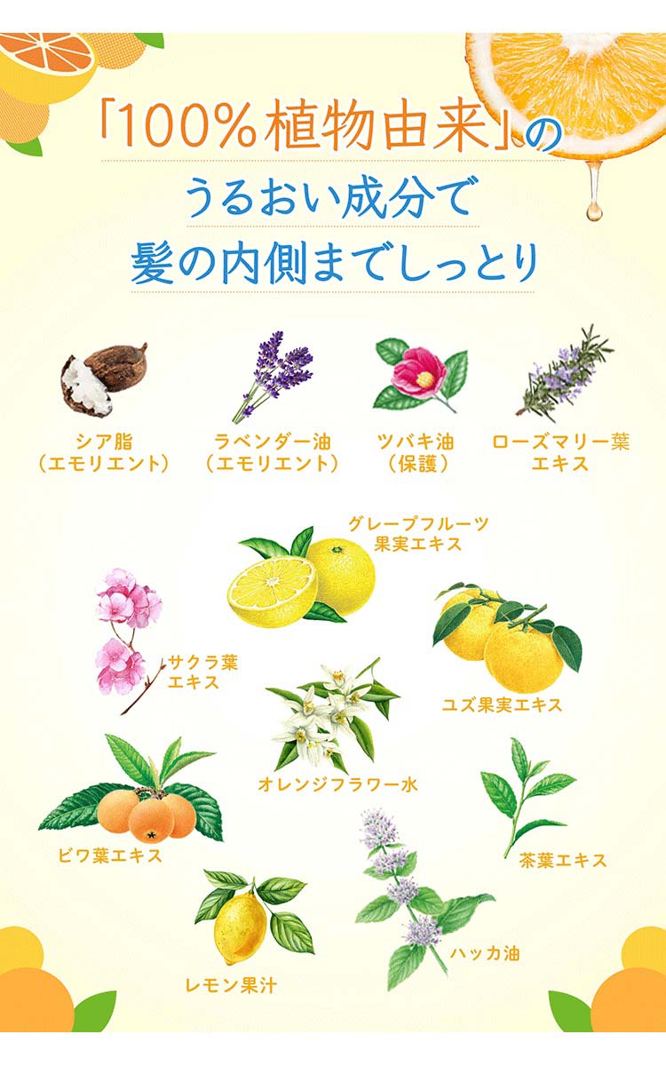 植物生まれのオレンジ果汁トリートメントN ( 250g )/ 植物生まれ