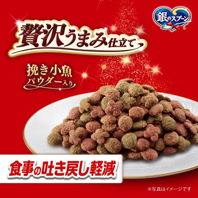 銀のスプーン 贅沢うまみ仕立て 食事の吐き戻し軽減フード お魚・お肉