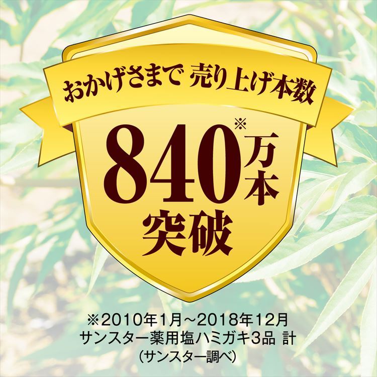 薬用ハミガキ 生薬当帰の力 ( 85g*12本セット )/ 生薬当帰の力 ( 歯槽