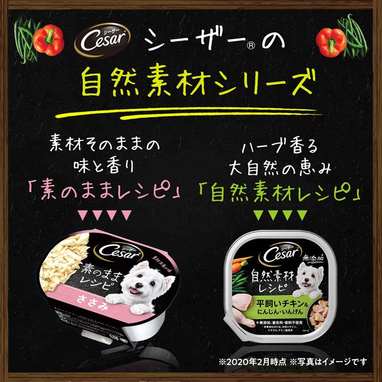 【7種/70個】シーザー　犬用ウェットフード　大容量 シーザー 自然素材 成犬用 チキン＆にんじん・いんげん 無添加