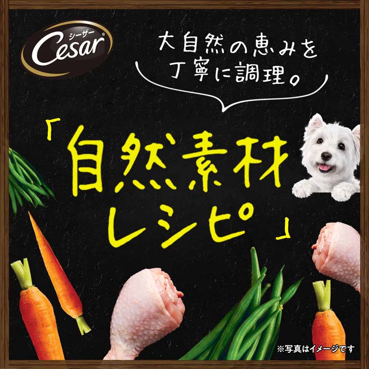 シーザー 自然素材 成犬用 チキン＆にんじん・いんげん 無添加