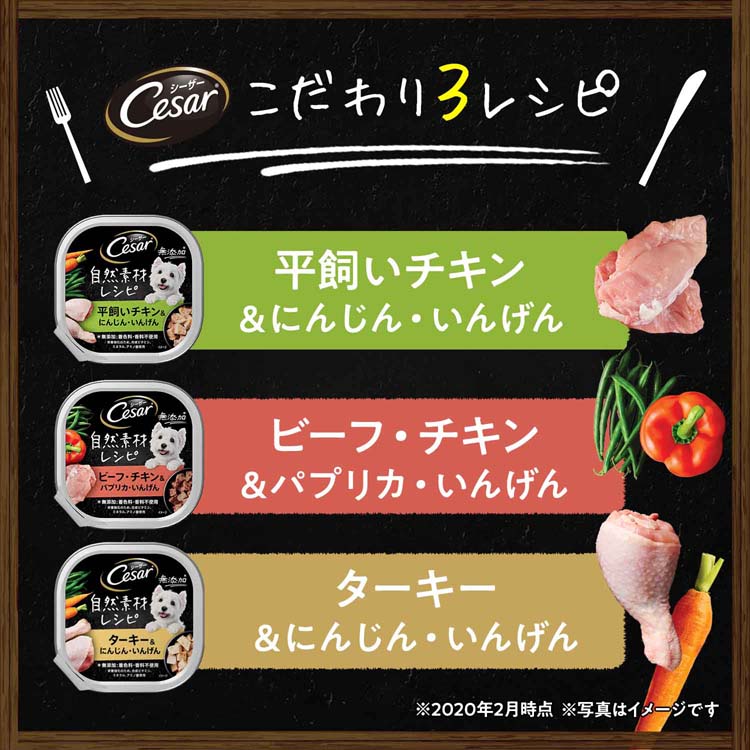 シーザー 自然素材 成犬用 チキン＆にんじん・いんげん 無添加