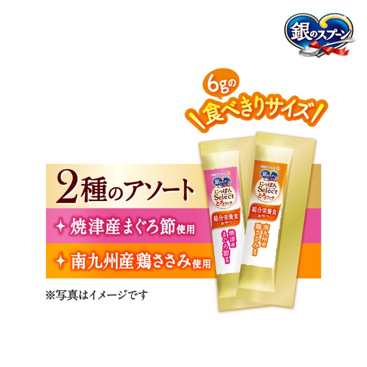 銀のスプーンおやつにっぽんSelect総合栄養食とろリッチアソート