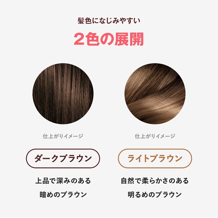 白髪染め サイオス カラートリートメント ライトブラウン ( 180g*2本