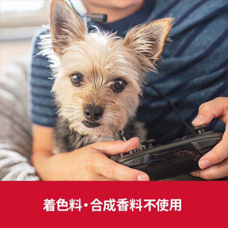 ドッグフード アダルト 成犬 小粒 1歳以上 チキン ( 12kg