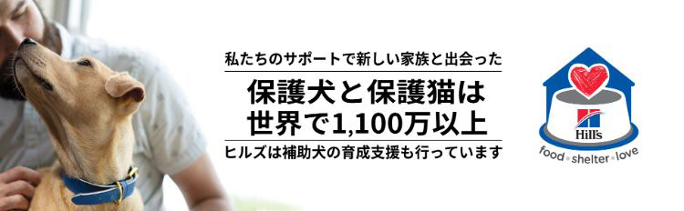 i/d コンフォート 小粒 チキン 消化ケア 犬用 特別療法食