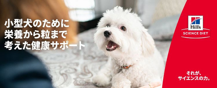 再入荷 サイエンス ダイエット ライト 小型犬用 肥満傾向の成犬用 チキン 5kg 6袋セット サイエンスダイエット オンラインストア限定 Www Bedandbiscuitspetsittingservices Com