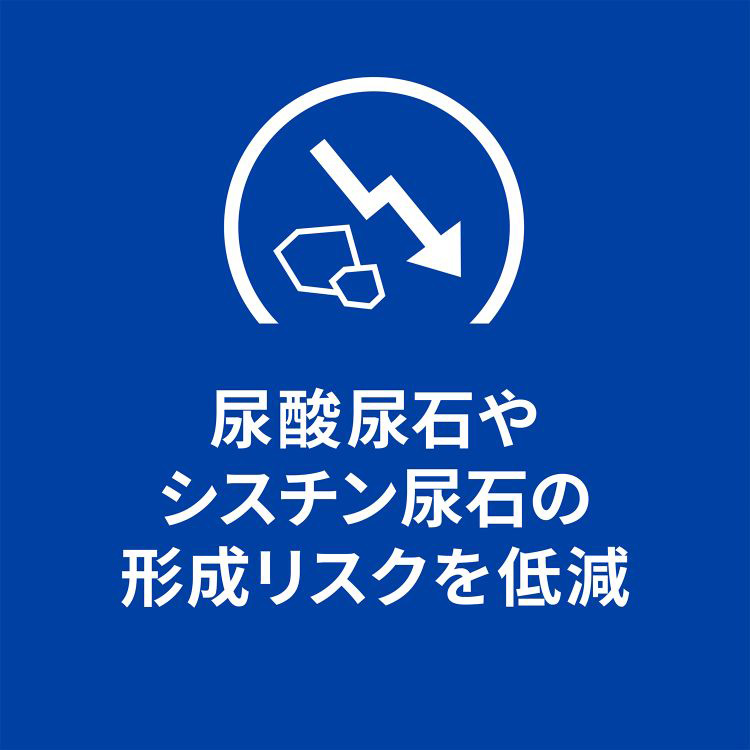 u／d ユーディー プレーン 犬用 療法食 ドッグフード ドライ ( 3kg