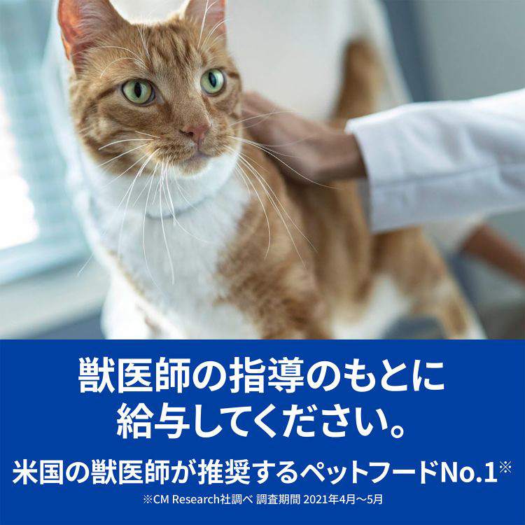 y／d ワイディー プレーン 猫用 療法食 キャットフード ドライ ( 2kg 