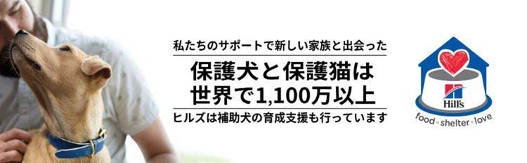 キャットフード 成猫 猫用 1〜6歳 チキン ドライ トライアル ( 2.8kg )/ サイエンスダイエット ( キャットフード ) :  52742353609 : 爽快ドラッグ - 通販 - Yahoo!ショッピング